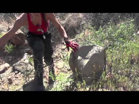 Flex Flexing in SLOW MOTION