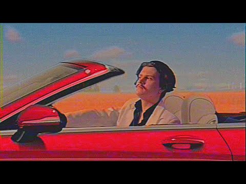 Leb wohl Birgitt - Jan Jester (Offizielles Musikvideo)