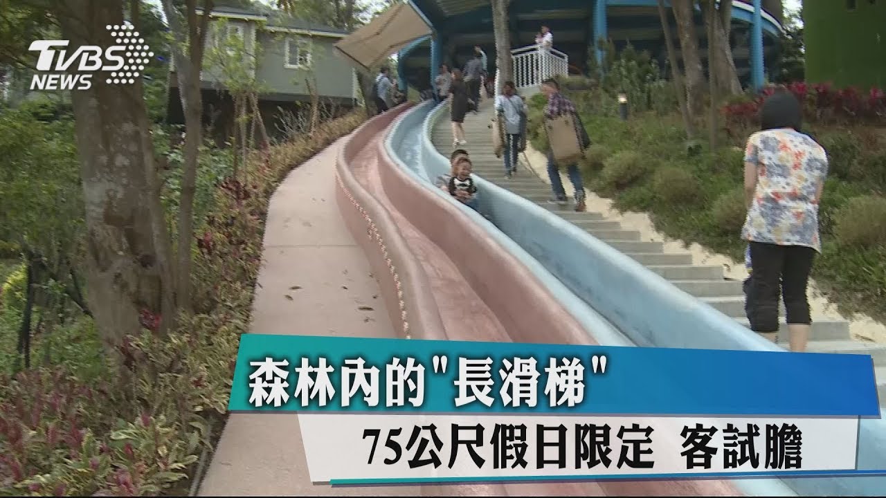 森林內的「長滑梯」75公尺假日限定 客試膽