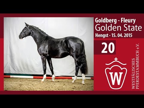 20 Golden State Hengst v. Goldberg - Fleury   Longe