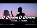 O Sanam O Sanam Kash Hota Ager L Slow AndReverb Song L
