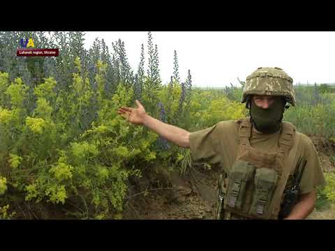 Life on the Front Line: Svitlodarsk Bulge