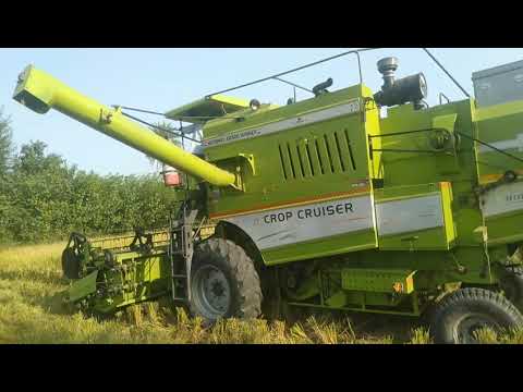 Paddy harvesting 🌾🌾🌾🌾🌾 farmtrac60 ,farmtrac 45 , kartar 4000