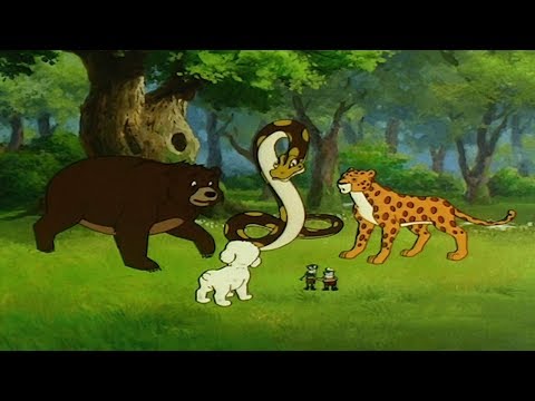 SIMBA KING LION AR - ep. 40 العربية