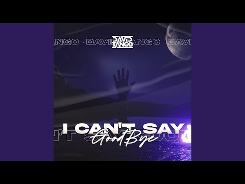 I Can’t Say GoodBye