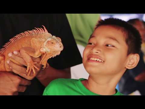 World Cerebral Palsy Day 2018