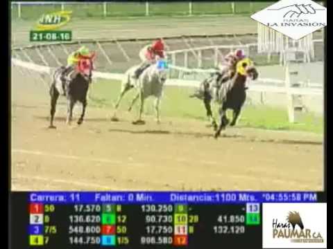 LA RINCONADA 11 CARRERA, DOMINGO 21 DE AGOSTO DEL 2016