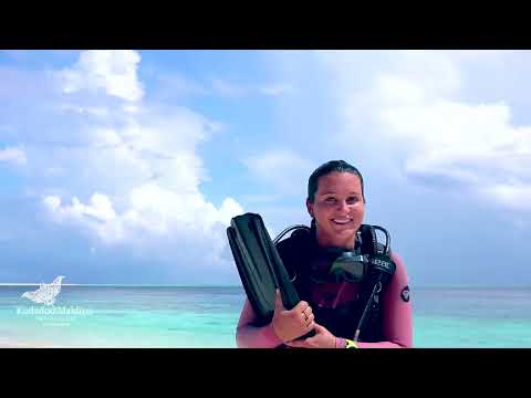 Videos del Kudadoo Maldives Private Island 5★ en Lhaviyani Atoll, Maldivas
Ver Más
Ver
Precios
19
Cerrar
Consulta por Whatsapp 🇦🇷
Booking
Tripadvisor
Expedia
Agoda
Travelocity
Orbitz
Priceline
Trip
Skyscanner
Despegar
Kayak
Hoteles
Destinia
Trivago
Lastminute
Hotwire
Cheaptickets
Tui
Wotif