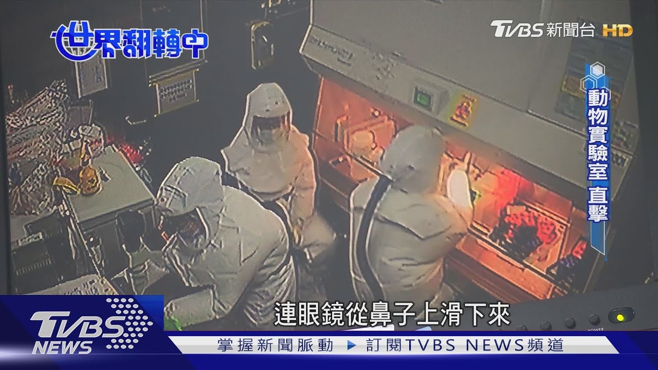 新冠病毒 台灣唯一P3動物實驗室直擊