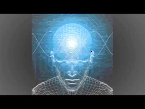 UDI THE ERRATIC ASSASSIN FEAT. HOLOCAUST & WHITE LOTUS - BRAIN STEMS