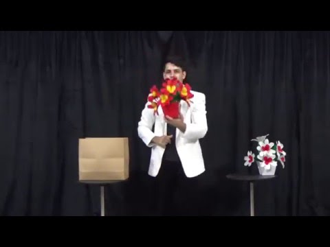 Tora Colorful Flower Vases from Paper Bag - Tora Magic Company