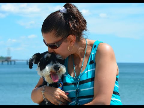 7  ADL The Art of Living Life