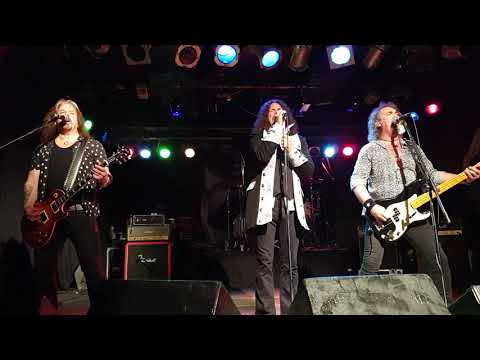 Cats in Space - Greatest Story Never Told - Buckley - May 2019