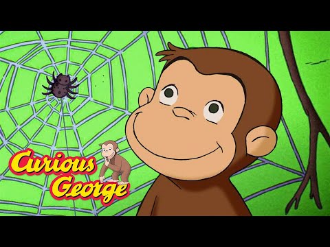 George isn't Scared of Spiders 🐵 Curious George 🐵 Kids Cartoon 🐵 Kids Movies