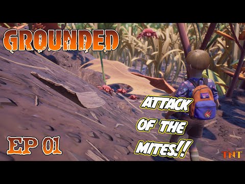 DEATH by Mites!?!? EP 1 - Grounded 1.0 Release!