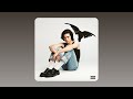 Conan Gray The Cut That Always Bleeds