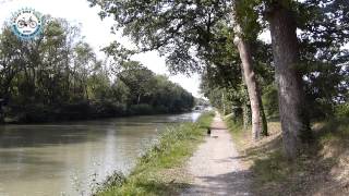 preview picture of video 'Canal Du Midi between Puicheric and Marseillette'