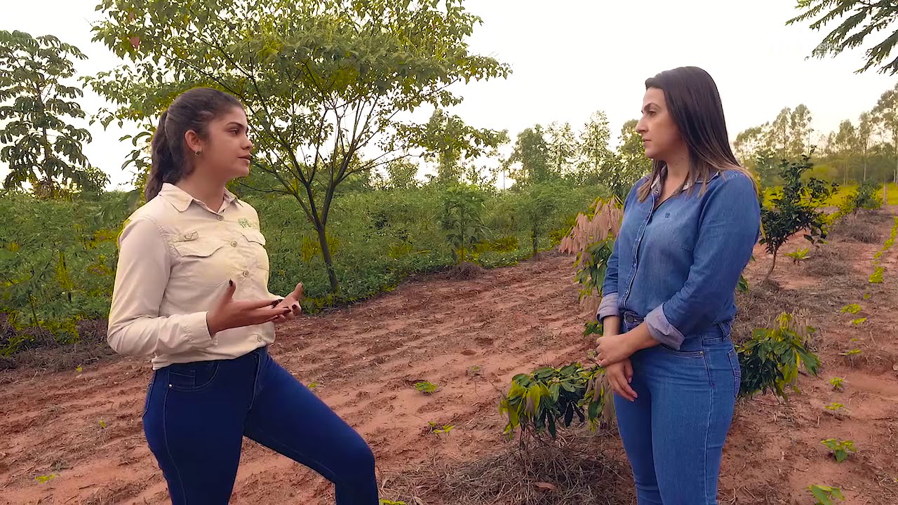 Videoaula - Sistemas Agroflorestais (SAFs) - Módulo 2
