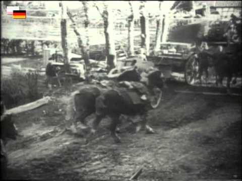 1938 und 1939 - Film - UTW 428, 483 - Ausschnitte über den Westwall