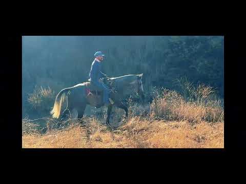 youtube preview