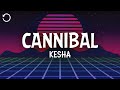 Kesha Cannibal Lyrics