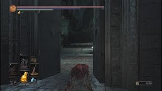 ダークソウル3 上質戦士 筋技９９ の高火力でゴリ押し Vs 無名の王 Dark Souls 3 أغاني Mp3 مجانا