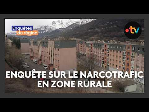 Le narcotrafic dans nos campagnes et nos montagnes en augmentation, enquête inédite en région Paca