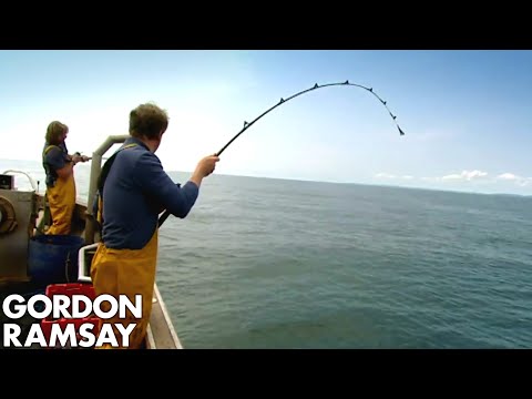 Fishing for Conger Eel - Gordon Ramsay