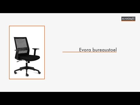 Een Armlegger Euroseats Evora verstelbaar zwart koop je bij EconOffice