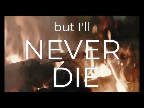 I Will Never Die - Delta Rae