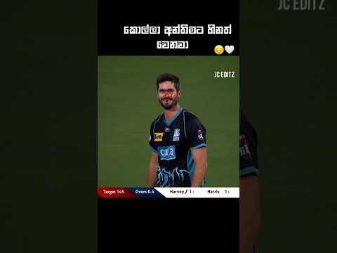 ඌ පව් බන්😔🔥#cricketshorts #100k#cricketlover#trendingshorts