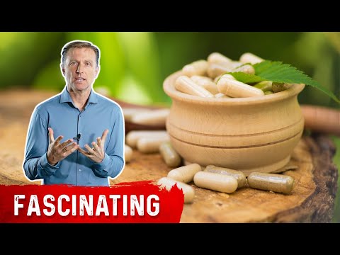 Forget the Coffee Do Wheat Grass Juice for ENERGY