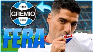 CRAQUE COM PROPOSTA NA MESA | TORCIDA JÁ COMEMORA | MERCADO DA BOLA  ATUALIZADO