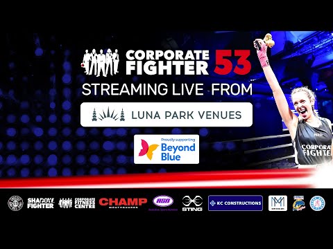 Corporate Fighter  53