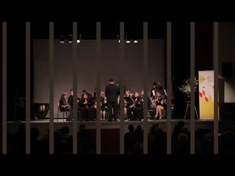 B. Bjelinski: POVRATAK TAUERN EXPRESSOM - Tamburaški orkestar GŠ Alberta Štrige Križevci, EMJ 2019.