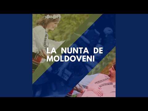 plange maicuta batrana