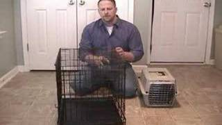 How To Stop a Dog From Barking While Crate Training