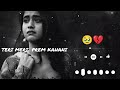 Teri Meri Prem Kahani Monira Kausar Feelers Music 🥹