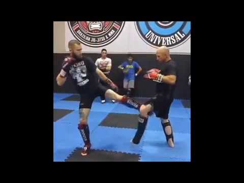 Viking Striking Technique: Battle Axe set up