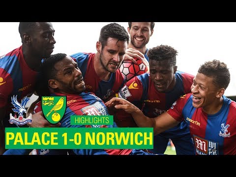 Crystal Palace 1-0 Norwich City | 2015-16