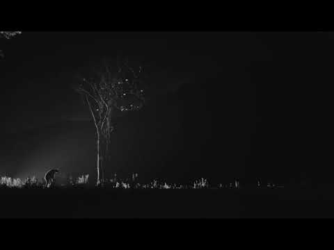 Tráiler de In The Mire (2026)