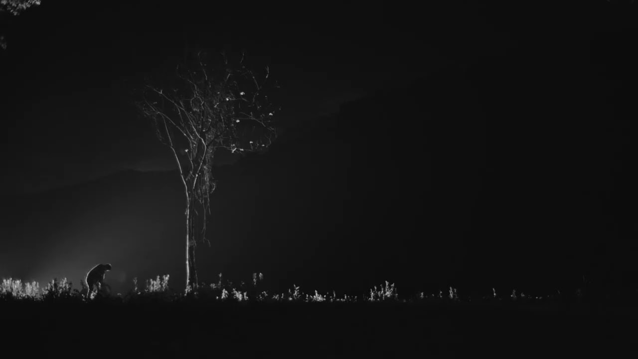 In The Mire — Official Trailer