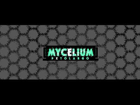 PUTOLARGO and Natan El Profeta