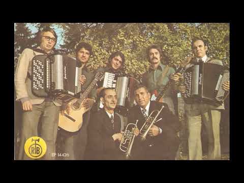 ILIJA IKA PETRIŠOROVIĆ - EXTRA VLAŠKA KOLA UŽIVO! (VlaškiMelos)