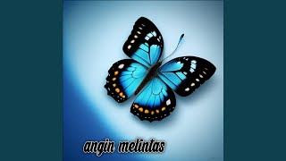 Download lagu angin melintas mp3 Download lagu angin melintas mp3