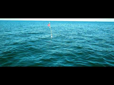 Niels Frevert - Blinken Am Horizont (official)