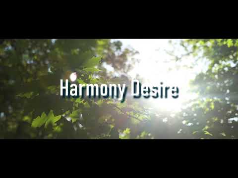 Fabbro - Harmony Desire | Ambient | Chillout| #fabbro #harmony #desire