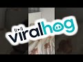 How Dare You Disturb Our Sleep || ViralHog