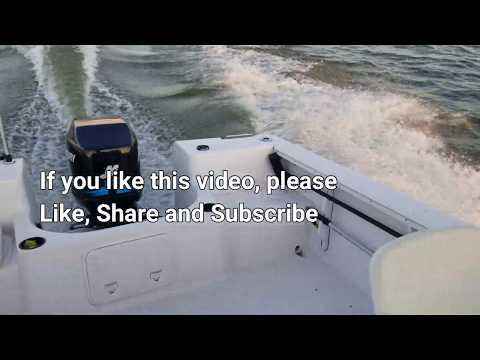 Mercury 2 Stroke|Running Rough FIX |Stator|Trigger|By Farhad