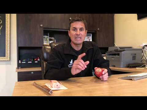 Separation Anxiety- Never Pay a Trainer Again